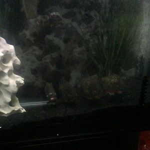 Meet your Posher, Lakeisha